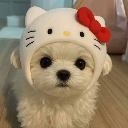 물놀이